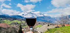 La culture du vin en France