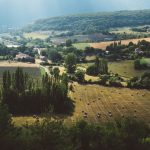 Cultures résistantes à la sécheresse : l&rsquo;agriculture française se réinvente