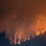 Évacuation camping incendie forêt : protocoles 2026